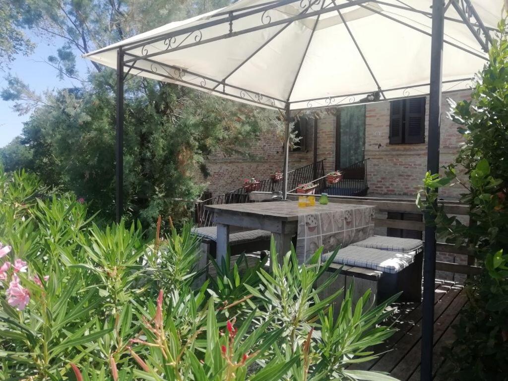 Tenuta Tredici Ulivi Senigallia Esterno foto