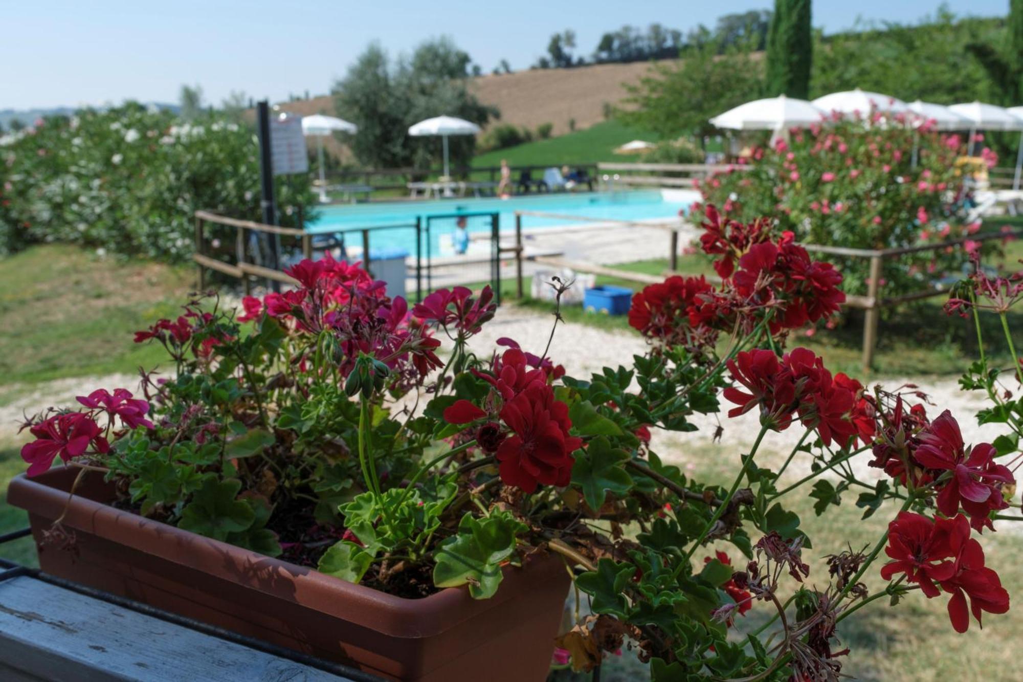 Tenuta Tredici Ulivi Senigallia Esterno foto