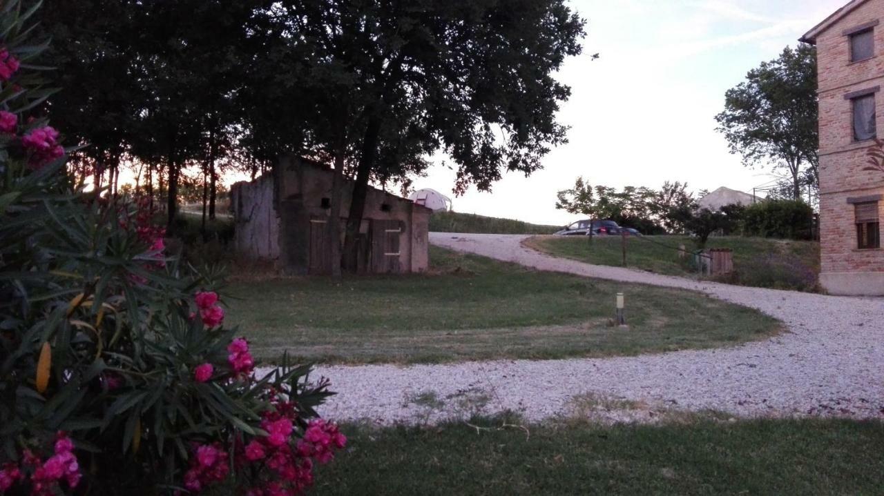 Tenuta Tredici Ulivi Senigallia Esterno foto