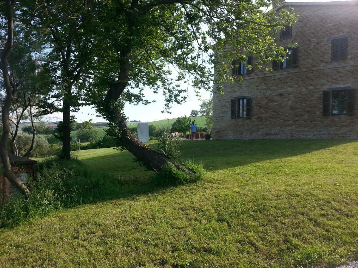Tenuta Tredici Ulivi Senigallia Esterno foto