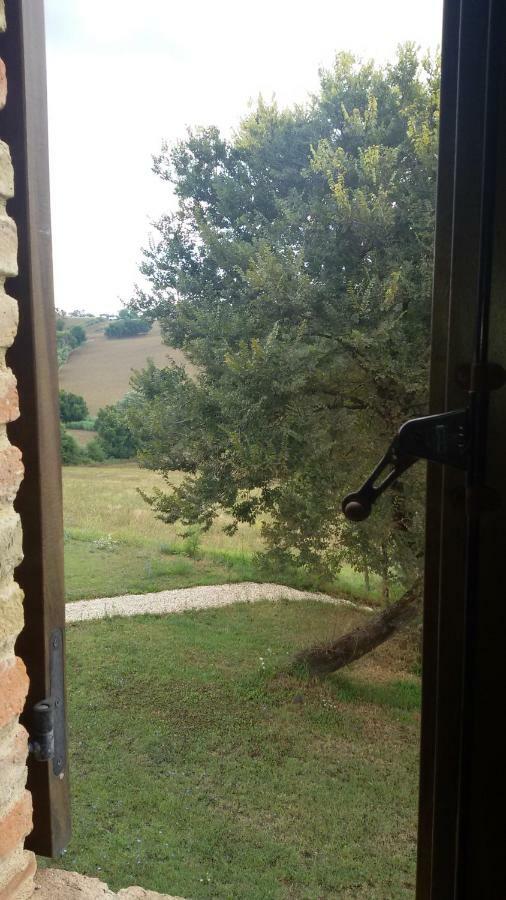 Tenuta Tredici Ulivi Senigallia Esterno foto