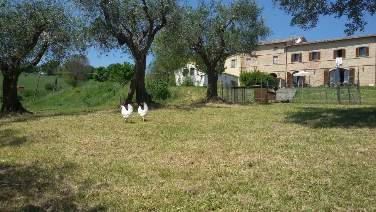 Tenuta Tredici Ulivi Senigallia Esterno foto