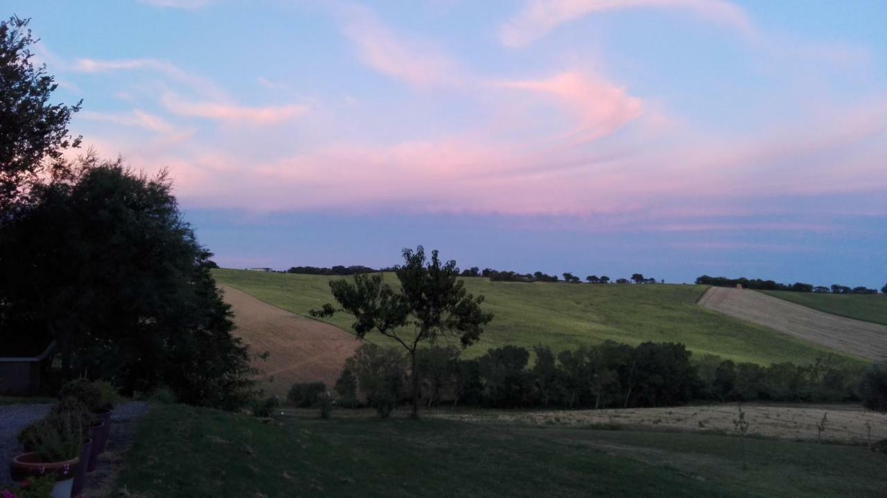 Tenuta Tredici Ulivi Senigallia Esterno foto
