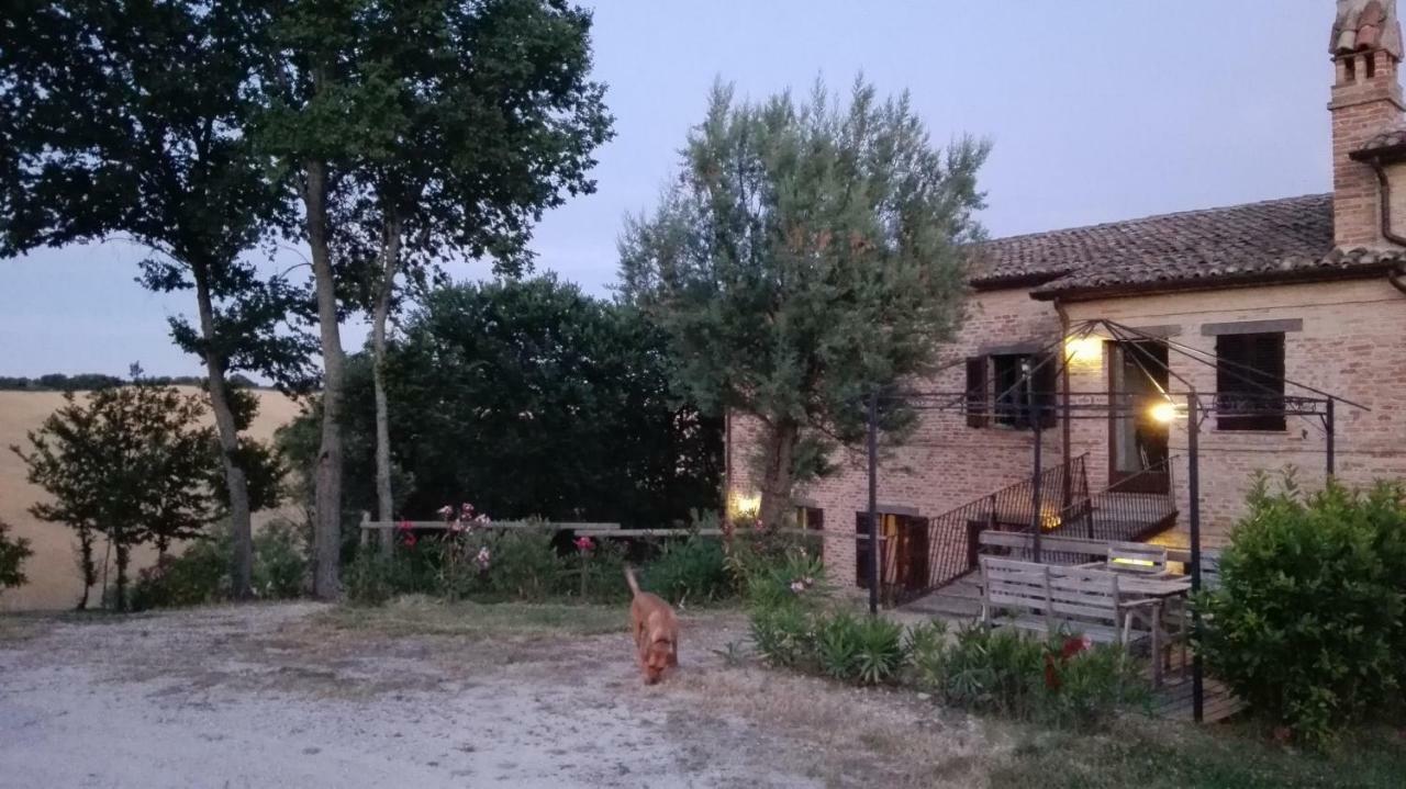 Tenuta Tredici Ulivi Senigallia Esterno foto