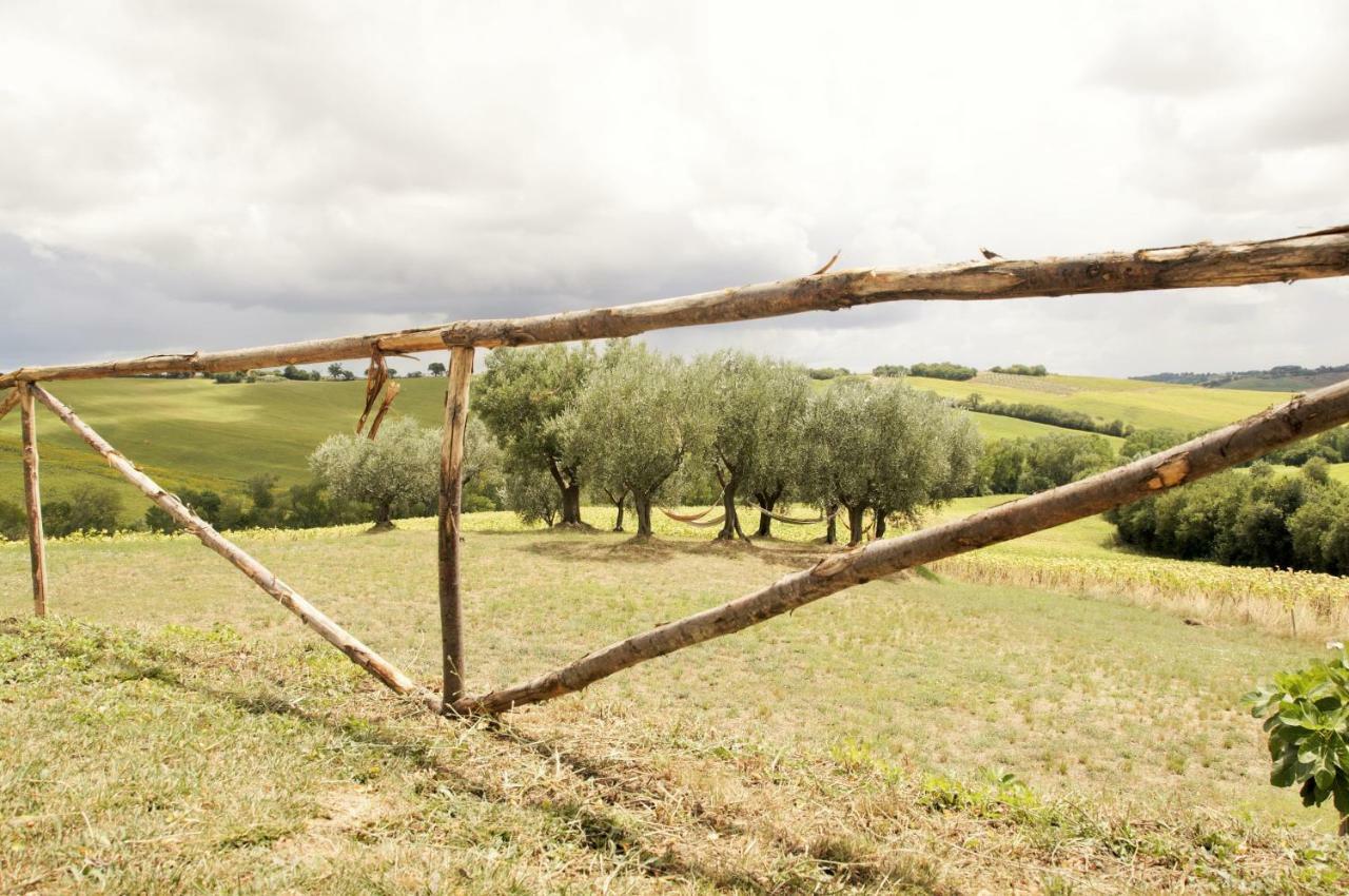 Tenuta Tredici Ulivi Senigallia Esterno foto