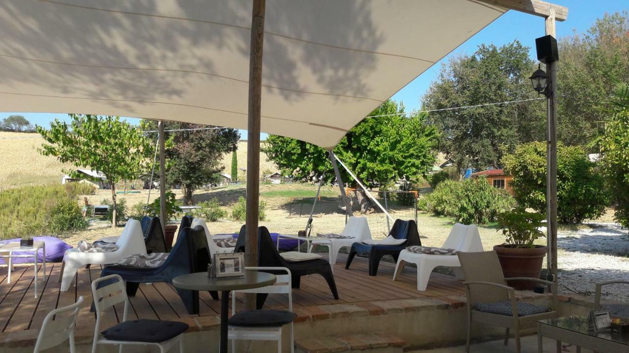 Tenuta Tredici Ulivi Senigallia Esterno foto
