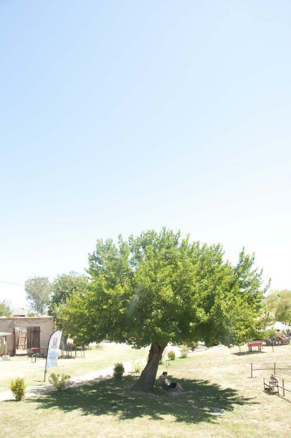 Tenuta Tredici Ulivi Senigallia Esterno foto