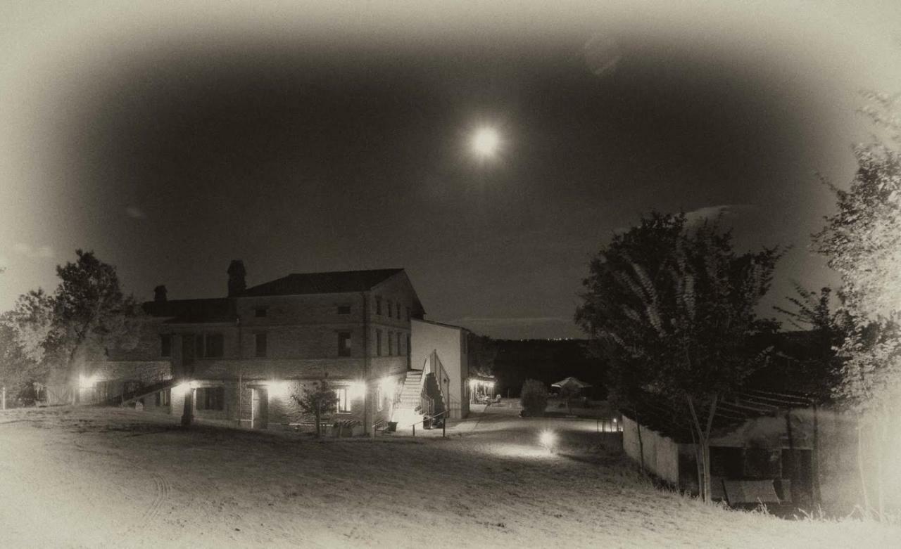 Tenuta Tredici Ulivi Senigallia Esterno foto
