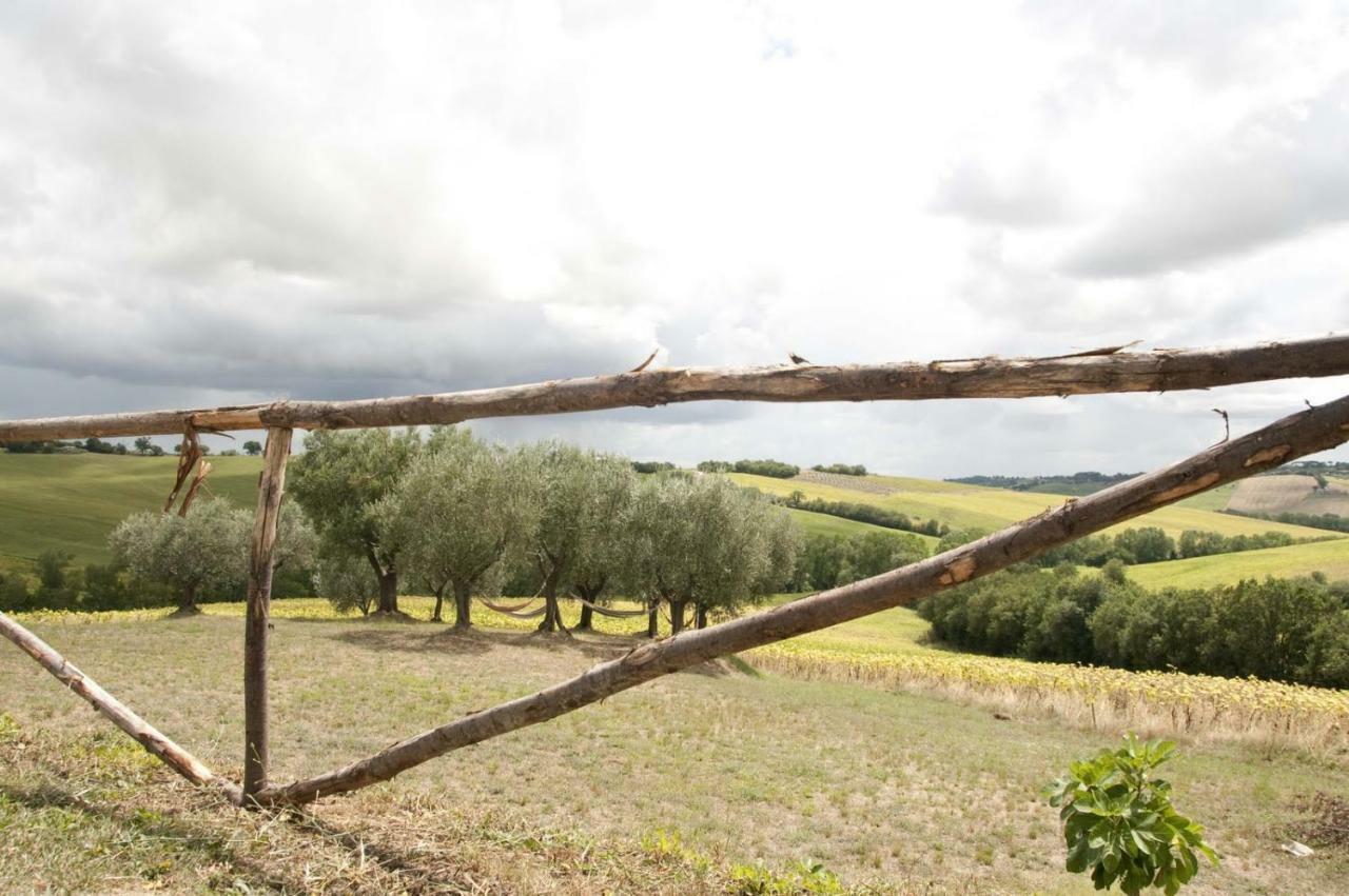 Tenuta Tredici Ulivi Senigallia Esterno foto